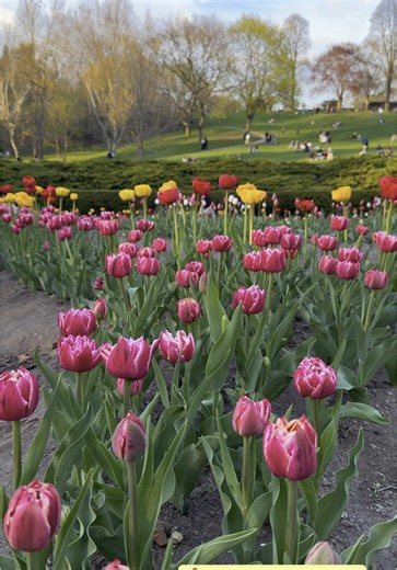 Toronto & Beyond on TikTok