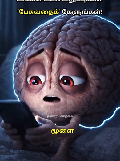 Understanding Body Organs for Kids