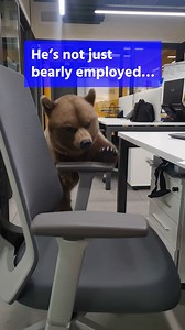 190 reactions | From wild onboarding to out-of-control HR tasks… Menaitech turns chaos into pawsitive efficiency.  . . #إدارة_الموارد_البشرية #HRmanagement | Menaitech | Facebook