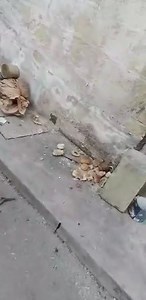 32K views · 246 reactions | Malta Dizastru TOTALI !!!!!!!! on Reels | Facebook