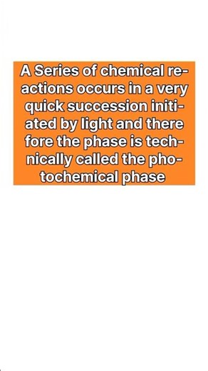 Light reaction phase called photochemical phase