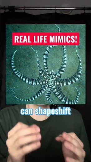 REAL LIFE MIMICS?!?