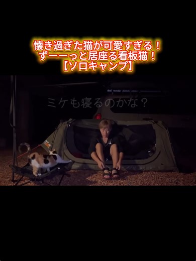 懐き過ぎた猫が可愛すぎる！ずーーっと居座る看板猫！PART 4 #ソロキャンプ #猫とキャンプ #キャンプ #viral #fyp
