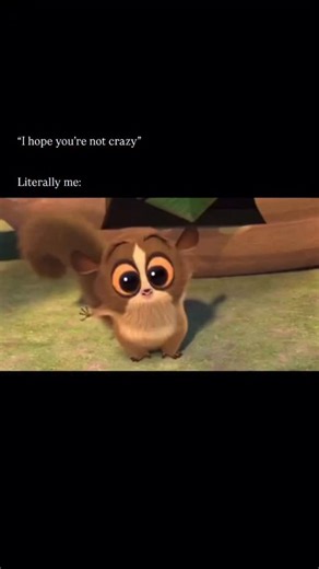 Cold and Caring on Instagram: "Movie Name: Madagascar Interesting Fact: The character in this meme is Mort, the adorable mouse lemur from the Madagascar franchise. While he appears to be just a cute, innocent sidekick obsessed with King Julien’s feet, the writers of the prequel series All Hail King Julien gave him a shockingly dark and bizarre backstory. In the show, it is revealed that Mort is actually not a child but a very old entity (possibly over 50 years old) who has absorbed the souls of 