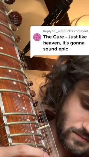 SitarNik on Instagram: "The Cure on Sitar #sitar #coversong #thecure #guitar #musician #music"