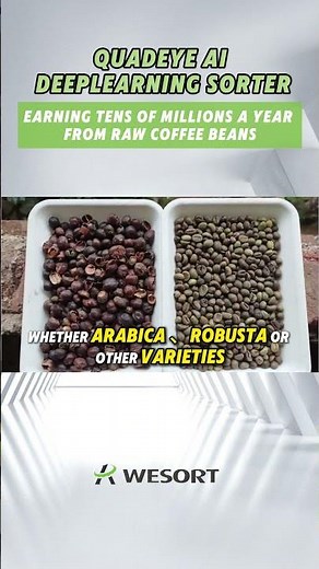 Boost Your Coffee Quality with WESORT