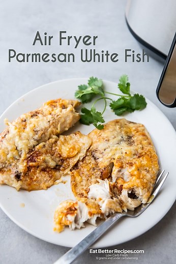 Air Fryer Parmesan White Fish Recipe KETO TILAPIA | Air Fryer World