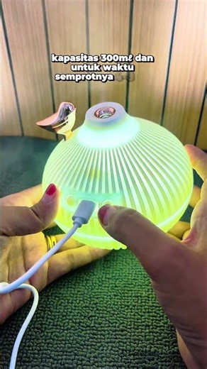 Humidifier pelembab udara yang kering dan panas #spillracunshopee #racunshopee #humidifier #viral