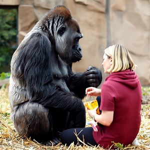 73K views · 1.7K reactions | You Won't Believe What Happens When This...