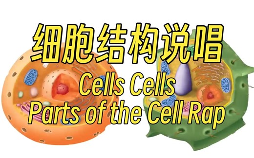 【生命科学歌曲】Cells Cells - Parts of the Cell Rap
