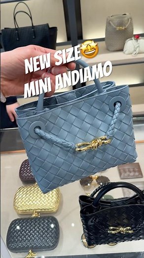 #bottegaveneta Just dropped a new size of the Andiamo! Introducing the Mini #andiamo #bottega