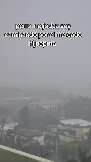 Interacciones Explosivas en el Mercado de Nicaragua