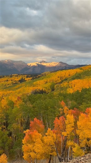 The perfect blend of light, color, and texture made Colorado’s aspens at peak season truly remarkable. From the fiery reds in the foreground to the sweeping golds that led the eye toward the mountain peaks near Crested Butte, every layer of this scene told a story in composition and contrast. Our Colorado Colors Workshop gave photographers the chance to elevate their craft, capturing the harmony of shape, pattern, and motion in these vast aspen groves. Participants experimented with intentional 