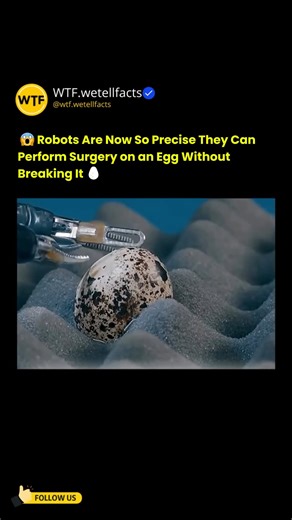 1.3K views · 11 reactions | 讀烙 Robots can now perform surgery on an egg without cracking the shell!  That’s how precise modern robotics has become able to peel an eggshell, operate on the yolk, and stitch it back as if it were human tissue. This level of accuracy is transforming medicine and surgery forever 喙✨  Follow us for more gems: WTF - We Tell Facts #technology #innovation #robotics | WTF - We Tell Facts | Facebook