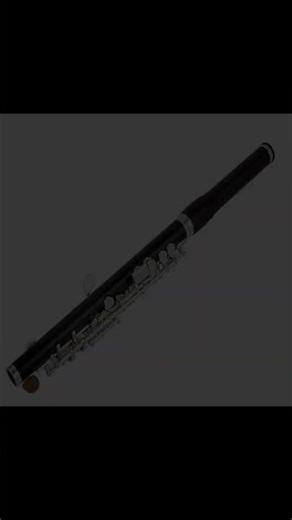 Discover the AUROSUS APE-16 Piccolo Flute
