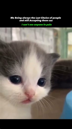 “The Pain of Being the Last Choice 💔”