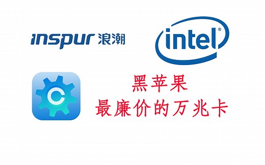 【全网首发】无需Ubuntu！全程Windows macOS驱动浪潮X540-AT2（英特尔X540）（macOS Sonoma）黑苹果万兆网卡驱动教程