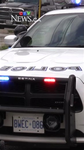 Five teens charged after confronting mother and children with machete, BB gun