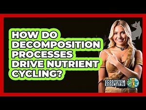 How Do Decomposition Processes Drive Nutrient Cycling? - Ecosystem Essentials