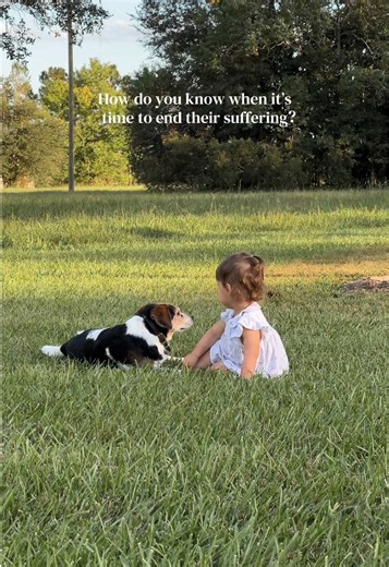 Our dog is getting close to the end and we’re facing the tough decision to put him down. He’s 17 years old (avg lifespan for beagles is 12-15), has had health problems for years and we can tell in his eyes he’s hurting and just tired. I hate to watch him suffer but at the same time feel so guilty at the thought of ending his life. If anyone has gone through this, I would love some advice😔 #seniordog #familypet #dogs #beagle #advice