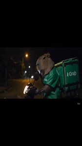 Capy chạy grap và cái kết #capy #cappybara #capy #cappybao #capybao #cappycute #CapybaraCute #capucute #xuhuong | Capy Báo