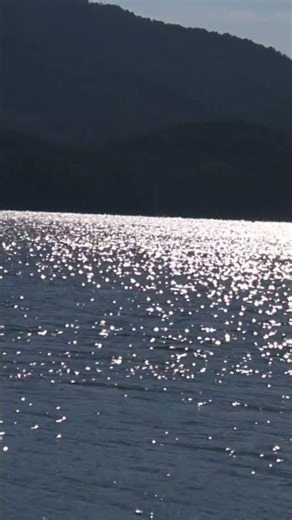 251027 빛나는~~ #호수 #물 #산 #나무 #어른 #손디아