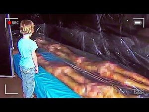 8 Yr Old Discovers What No One Was Supposed to See