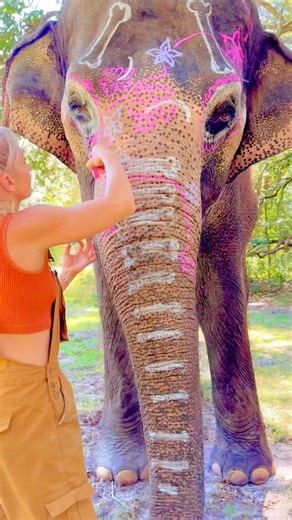 Attempting an elephant sugar skull😂 I tried! Before people go crazy in the comments, this is child safe chalk and rinses right off:) #Elephant #Halloween #HalloweenFestivities #Animal #AnimalLover #SilkElephant | The Walking Elephant