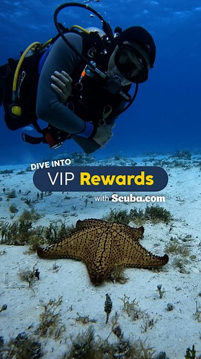 1.2K views · 13 reactions | Our new VIP Rewards Program is here!  Every gift you grab this season earns points for future dives, so give the gift of adventure and start earning today. Plus, signup now and any qualifying purchase made through 12/2 earns you 2x points! ⭐️ #ScubaDotCom #DiveIntoAdventure #OceanExplorers #ScubaLife #OceanMyWay #ScubaDiving #DivingGear #Underwater #DiveLife #ScubaDiver #DivingEquipment | Scuba.com | Facebook