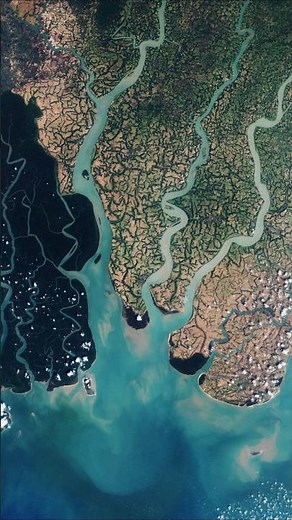 How are Deltas formed? | Suresh Sir | LTX Classes | #upsc #shorts #trending