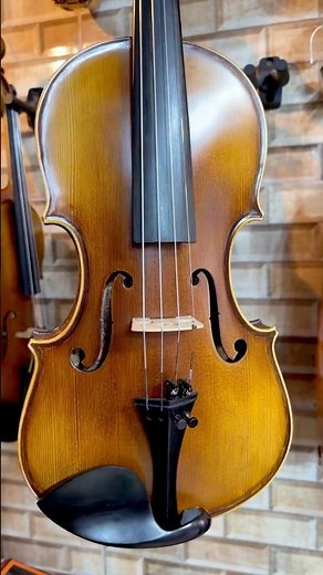 Violino 4/4 Profissional Stradivarius Cordas Orquezz SEMI-PRO Ajustado Luthier Case Luxo Arco Top