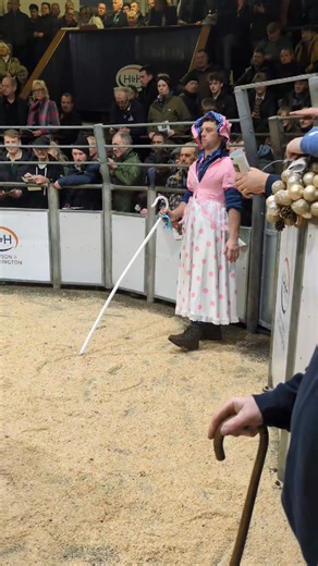 Last sale of the year and it's good to see that farming is begining to accept inclusivity in this modern age!! Well done to little Bob Peep for breaking barriers! Harrison & Hetherington Livestock Auctioneers' Association Farmers Guardian Bluefaced Leicester Sheep Breeders' Association | Hutchinson Photography