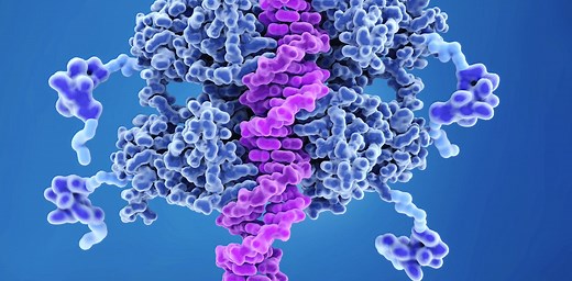 p53 is both your genome’s guardian and weakness against cancer – scientists are trying to repair or replace it when it goes awry