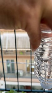 3.3M views · 41K reactions | For the plant lover in your life 華 #plantsmakepeoplehappy #plants #indoorplants #pottedplants #gardening | Life With Wes & Alison | Facebook