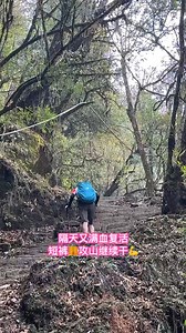 2.1K views · 48 reactions | 【Scroll down for the English version】...