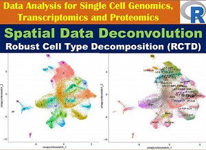 Spatial Data Deconvolution using Robust Cell Type Decomposition (RCTD)