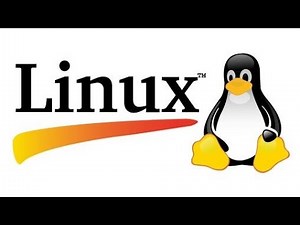 Quelques commandes de base sous linux 🧑‍💻