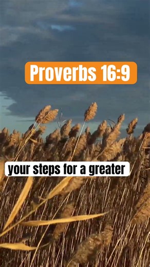 PROVERBS 16:9 #motivation #prayer #faith #bibleverse #christianprayer #revival