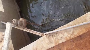 1.6K views · 35 reactions | Our Feeding system for Bio gas Digester from direct washing floors of modern dairy farm. | NATIONAL BIO GAS PROGRAM PAKISTAN | Facebook