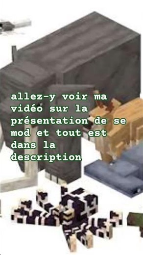 va voir dans mon compte la présentation de se mod Minecraft bedrock