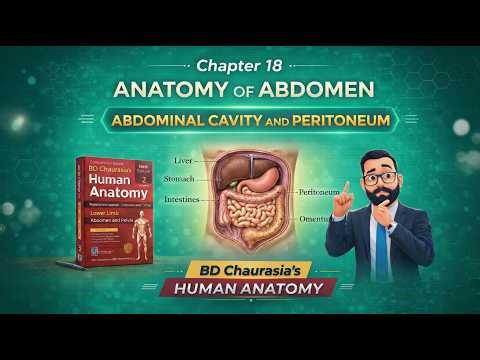 Chapter 18 | Introduction to Abdominal Cavity & Peritoneum | Layers, Folds & Functions | Anatomy