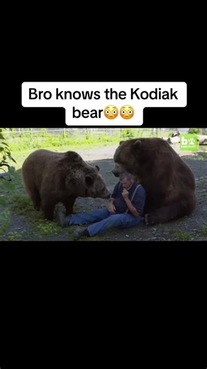 Encountering the Mighty Kodiak Bear: A Tale of Strength and Size