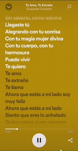 Te Amo, Te Extraño - La Salsa Romántica de Guayacán