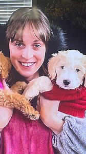 16K views · 560 reactions | Dog Helped Solve His Owner’s Gruesome Case! | True Crime Recaps | Facebook