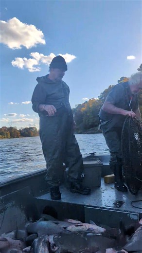 133K views · 1.6K reactions | Buffalo ribs 2½# for $15 whole catfish 5# for $20 Cooter's Live Bait & Tackle | Sherman Foote | Facebook