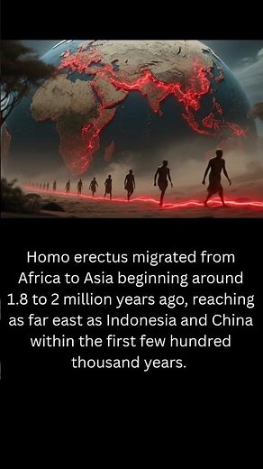 Homo Erectus Migrated from Africa