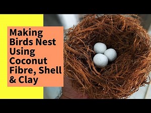 Waste Material Craft ideas | Making Birds Nest Using Coconut Fibre, Shell & Clay