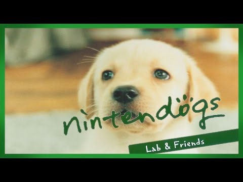 The Cave of Pleasures Season 3 #9: Nintendogs: Labrador and Friends