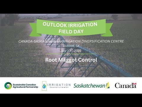 Root Maggot Control Research - Outlook Irrigation Field Day 2025