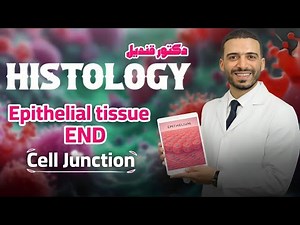 Epithelial tissue end| Cell junction | histology - dr kandeel